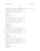 NUCLEIC ACID PROBE-BASED DIAGNOSTIC ASSAYS TARGETING SSRA GENES OF PROKARYOTIC AND EUKARYOTIC ORGANISMS diagram and image