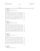 NUCLEIC ACID PROBE-BASED DIAGNOSTIC ASSAYS TARGETING SSRA GENES OF PROKARYOTIC AND EUKARYOTIC ORGANISMS diagram and image