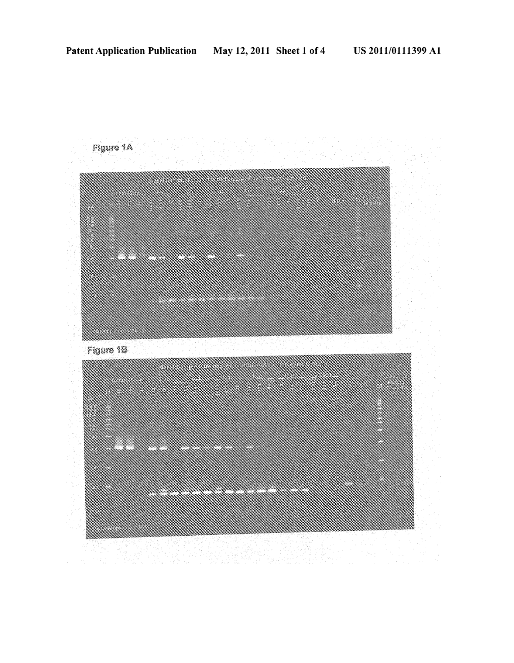 Methods And Compositions Including Diagnostic Kits For The Detection of Staphylococcus Aureus - diagram, schematic, and image 02