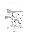 ANTIGEN-BINDING MOLECULE CAPABLE OF BINDING TO TWO OR MORE ANTIGEN MOLECULES REPEATEDLY diagram and image