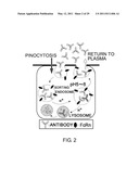 ANTIGEN-BINDING MOLECULE CAPABLE OF BINDING TO TWO OR MORE ANTIGEN MOLECULES REPEATEDLY diagram and image