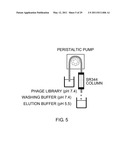 ANTIGEN-BINDING MOLECULE CAPABLE OF BINDING TO TWO OR MORE ANTIGEN MOLECULES REPEATEDLY diagram and image