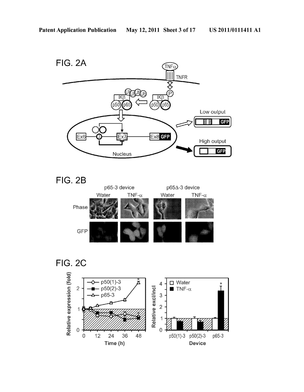 Protein-Responsive RNA Control Devices and Uses Thereof - diagram, schematic, and image 04