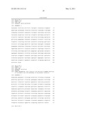 METHOD OF OPTIMIZING CODON USAGE THROUGH DNA SHUFFLING diagram and image