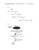 METHOD AND KIT FOR MEASUREMENT OF ENDOTOXIN LEVEL diagram and image