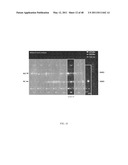 Intein-modified enzymes, their production and industrial applications diagram and image