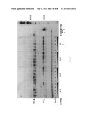 Intein-modified enzymes, their production and industrial applications diagram and image