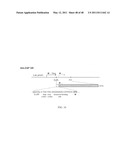 Intein-modified enzymes, their production and industrial applications diagram and image