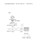 APPARATUS FOR AUTO-PRETREATING SUGAR CHAIN diagram and image