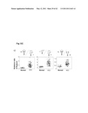 APPARATUS FOR AUTO-PRETREATING SUGAR CHAIN diagram and image