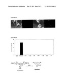 THIOL DETECTION METHOD diagram and image