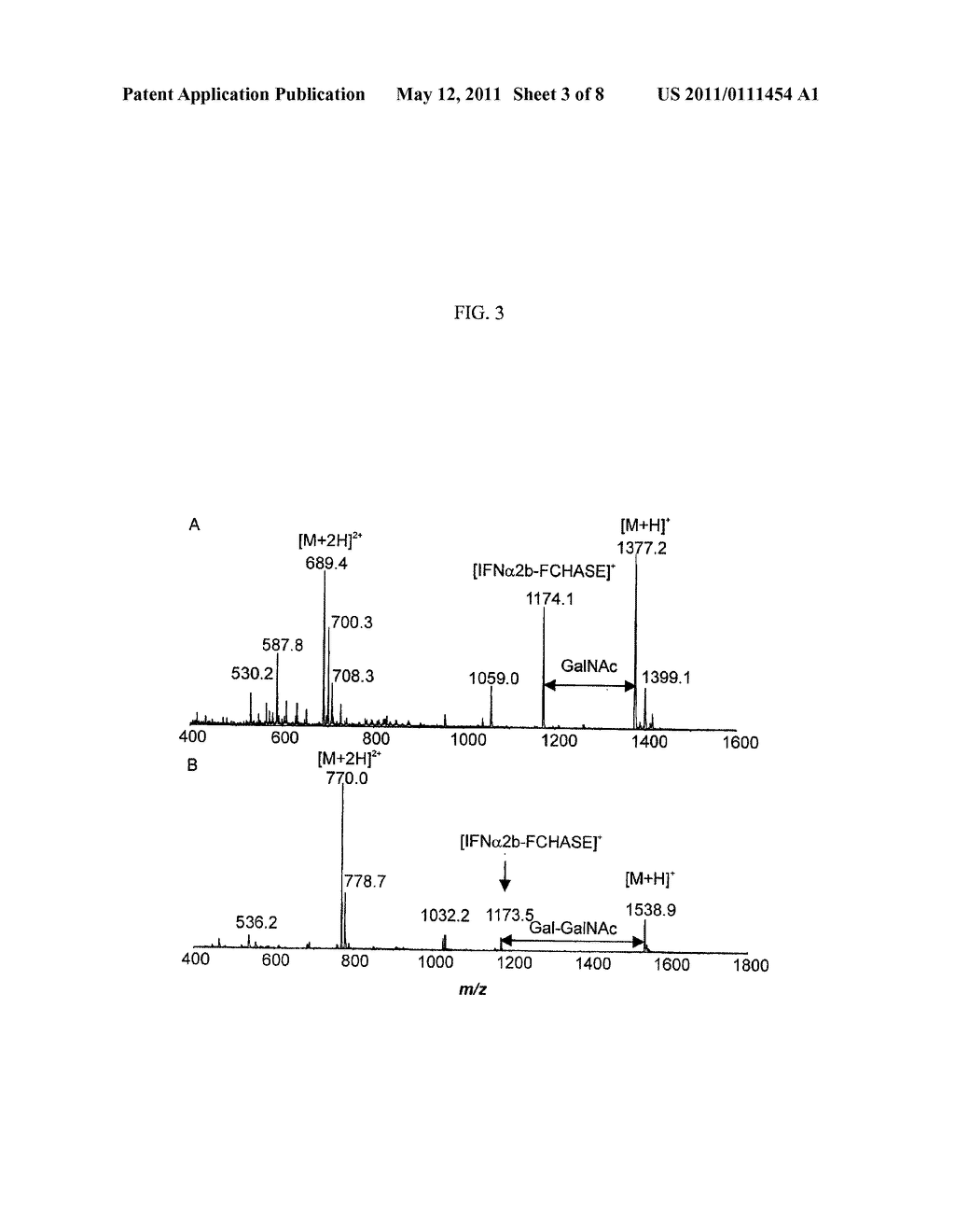 ENGINEERED VERSIONS OF CgtB (Beta-1,3 GALACTOSYLTRANSFERASE) ENZYMES, WITH ENHANCED ENZYMATIC PROPERTIES - diagram, schematic, and image 04