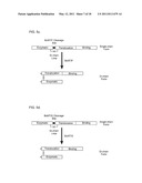 Botulinum Neurotoxin Serotype B Activatable Botulinum Neurotoxin Serotype Bs diagram and image