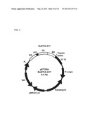 Botulinum Neurotoxin Serotype B Activatable Botulinum Neurotoxin Serotype Bs diagram and image