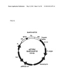 Botulinum Neurotoxin Serotype B Activatable Botulinum Neurotoxin Serotype Bs diagram and image