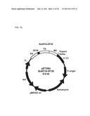 Botulinum Neurotoxin Serotype B Activatable Botulinum Neurotoxin Serotype Bs diagram and image