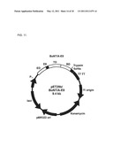 Botulinum Neurotoxin Serotype B Activatable Botulinum Neurotoxin Serotype Bs diagram and image