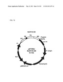 Botulinum Neurotoxin Serotype B Activatable Botulinum Neurotoxin Serotype Bs diagram and image