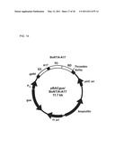 Botulinum Neurotoxin Serotype B Activatable Botulinum Neurotoxin Serotype Bs diagram and image