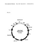 Botulinum Neurotoxin Serotype B Activatable Botulinum Neurotoxin Serotype Bs diagram and image