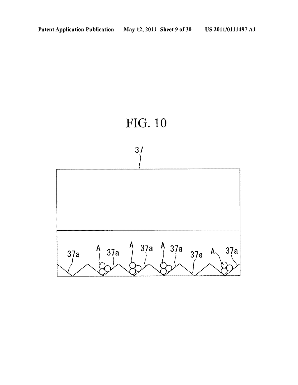 CELL SEPARATION APPARATUS, METHOD FOR ACTIVATING FAT-DERIVED CELLS, GRAFT MATERIAL PRODUCING PROCESS, AND GRAFT MATERIAL - diagram, schematic, and image 10