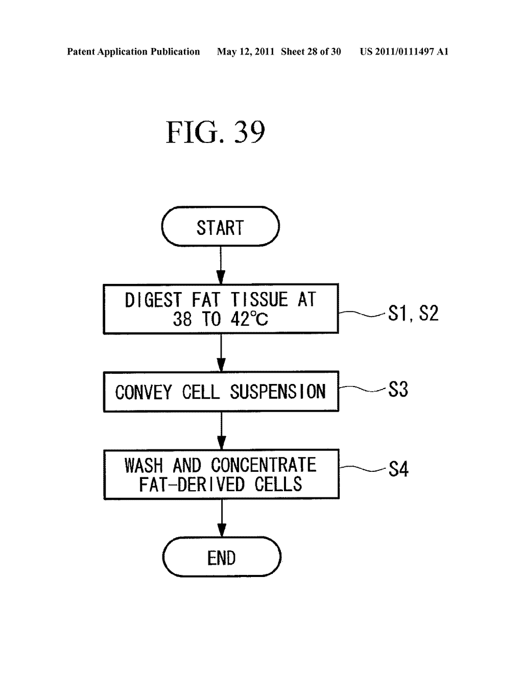 CELL SEPARATION APPARATUS, METHOD FOR ACTIVATING FAT-DERIVED CELLS, GRAFT MATERIAL PRODUCING PROCESS, AND GRAFT MATERIAL - diagram, schematic, and image 29