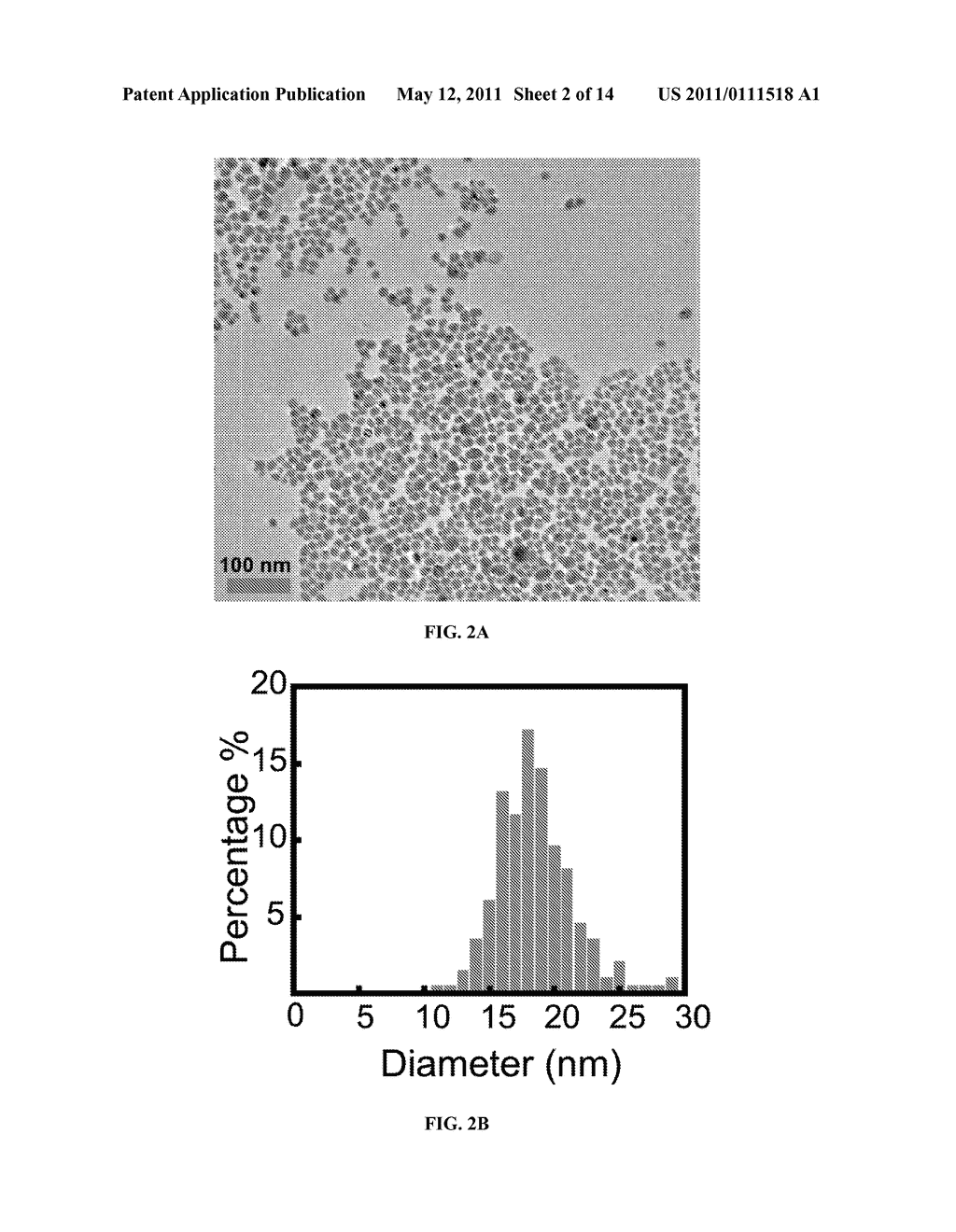 GRANULAR NANOPARTICLES HAVING BRIGHT FLUORESCENCE AND GIANT RAMAN ENHANCEMENTS - diagram, schematic, and image 03