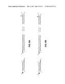 METHODS FOR DETECTION OF GENETIC DISORDERS diagram and image