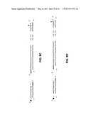 METHODS FOR DETECTION OF GENETIC DISORDERS diagram and image