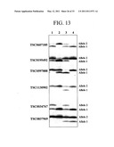 METHODS FOR DETECTION OF GENETIC DISORDERS diagram and image