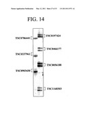 METHODS FOR DETECTION OF GENETIC DISORDERS diagram and image