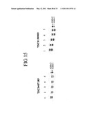 METHODS FOR DETECTION OF GENETIC DISORDERS diagram and image