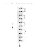 METHODS FOR DETECTION OF GENETIC DISORDERS diagram and image