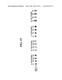 METHODS FOR DETECTION OF GENETIC DISORDERS diagram and image