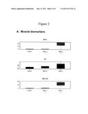 MICRORNA BIOMARKERS OF TISSUE INJURY diagram and image