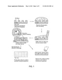 METHOD FOR DETECTING ACTIVE AND LATENT VIRALLY INFECTED CELLS diagram and image