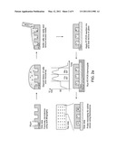 METHOD FOR DETECTING ACTIVE AND LATENT VIRALLY INFECTED CELLS diagram and image