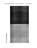 METHOD FOR DETECTING ACTIVE AND LATENT VIRALLY INFECTED CELLS diagram and image