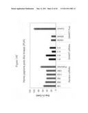 siRNA targeting spleen tyrosine kinase diagram and image