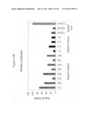 siRNA targeting spleen tyrosine kinase diagram and image