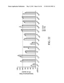 siRNA targeting spleen tyrosine kinase diagram and image