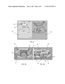 CENTRIFUGAL MICROFLUIDIC SYSTEM FOR NUCLEIC ACID SAMPLE PREPARATION, AMPLIFICATION, AND DETECTION diagram and image