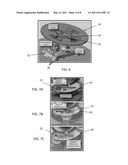 CENTRIFUGAL MICROFLUIDIC SYSTEM FOR NUCLEIC ACID SAMPLE PREPARATION, AMPLIFICATION, AND DETECTION diagram and image