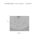 CENTRIFUGAL MICROFLUIDIC SYSTEM FOR NUCLEIC ACID SAMPLE PREPARATION, AMPLIFICATION, AND DETECTION diagram and image