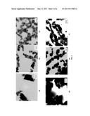 Electrically Conductive Oil Base Drilling Fluids Containing Carbon Nanotubes diagram and image