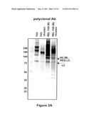 FACTOR VIII POLYMER CONJUGATES diagram and image