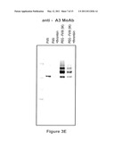 FACTOR VIII POLYMER CONJUGATES diagram and image