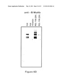 FACTOR VIII POLYMER CONJUGATES diagram and image