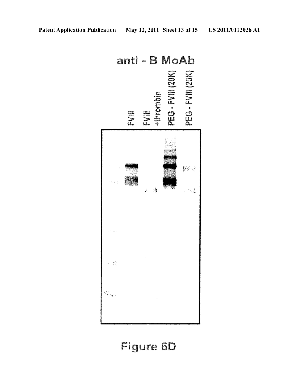 FACTOR VIII POLYMER CONJUGATES - diagram, schematic, and image 14