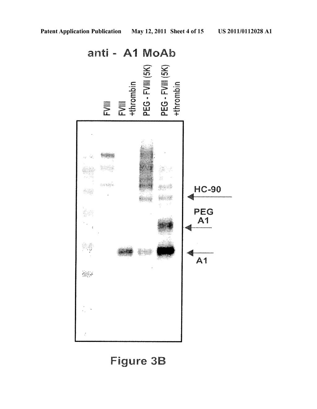 FACTOR VIII POLYMER CONJUGATES - diagram, schematic, and image 05